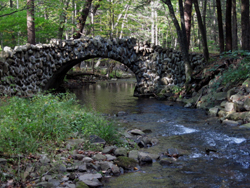PHOTO PROVIDED This bridge spans Mosquito Creek on the Raccoon Mountain Trail on Williamsport Municipal Water Authority property near DuBoistown.